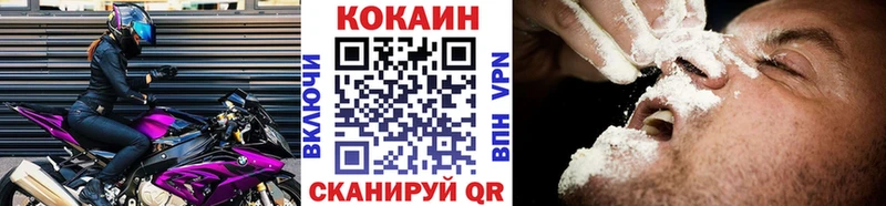 COCAIN Fish Scale Элиста