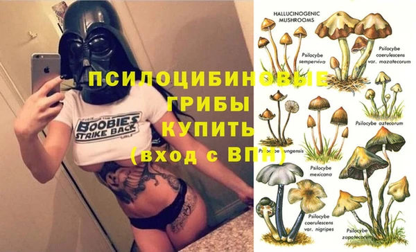 ешки Краснослободск