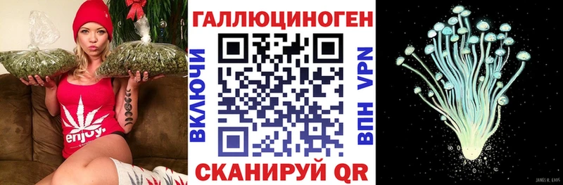 МЕГА ТОР Элиста Псилоцибиновые грибы Psilocybe