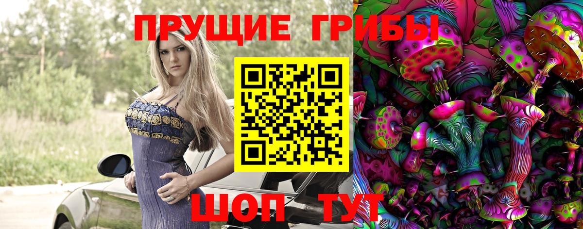 Псилоцибиновые грибы GOLDEN TEACHER  Вход с VPN  Элиста 