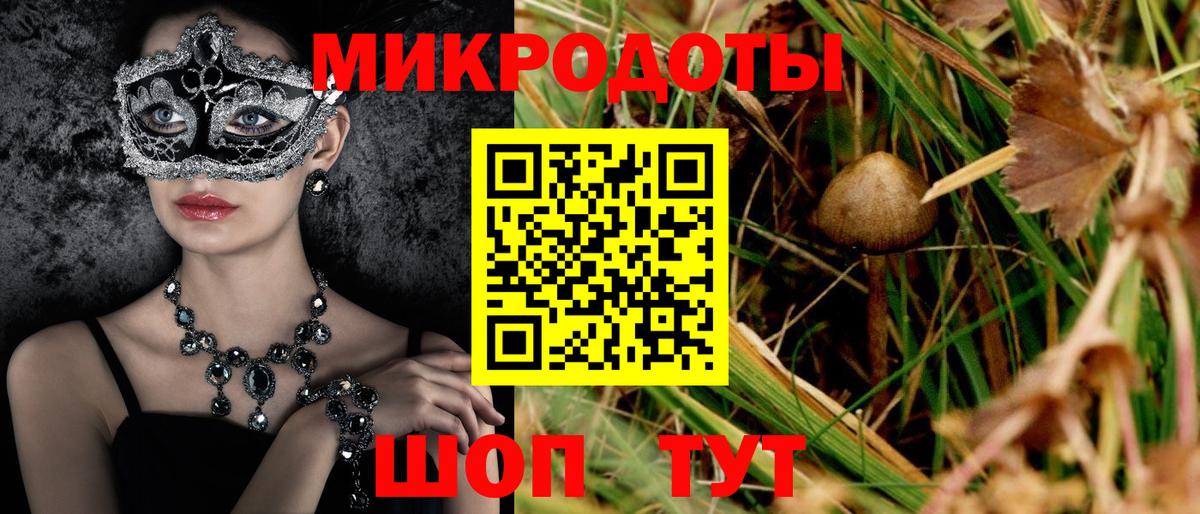 Галлюциногенные грибы прущие грибы Элиста
