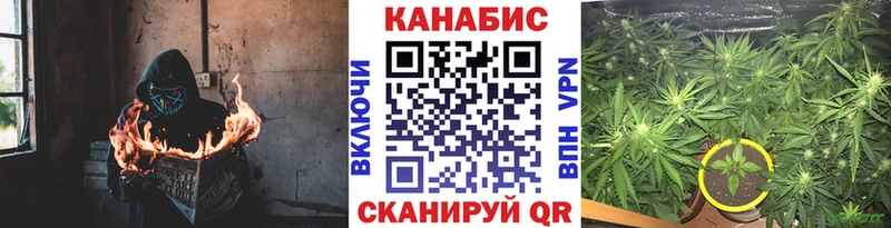 Шишки марихуана THC 21%  mega ONION  Элиста 